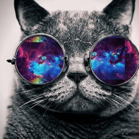 Hello world!